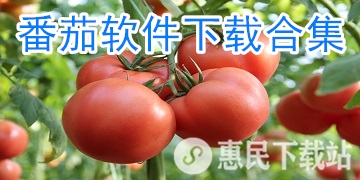 番茄app下载_番茄软件下载合集