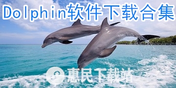 Dolphin下载_模拟器_安卓版_app_Dolphin软件下载合集