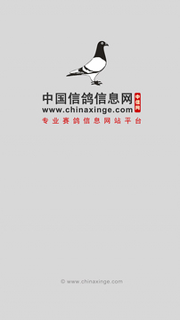 中国信鸽信息网官网版