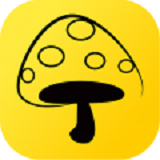 蘑菇丁app