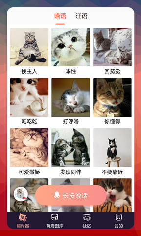 猫语翻译器正版