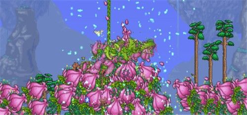 泰拉瑞亚花苞探测器怎么做 泰拉瑞亚世纪之花花苞出现条件